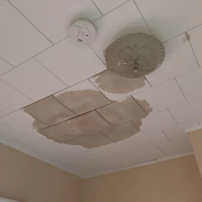 Ceiling Water Damage Repair in Morrisonville, NY